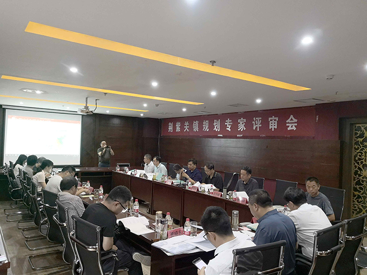 荆紫关镇规划专家评审会现场